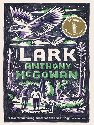 Lark - ebook